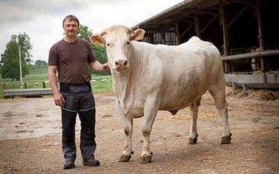 Paumier_ChâteauBoeuf